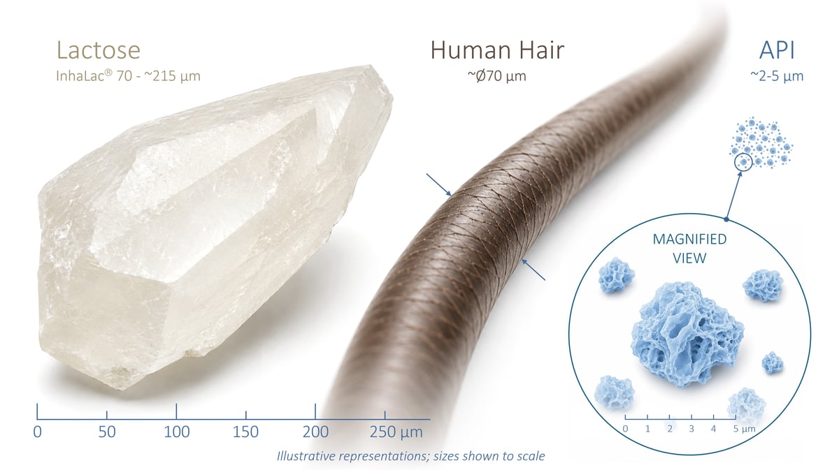 Blog 3 - Lactose Hair API - v0-1