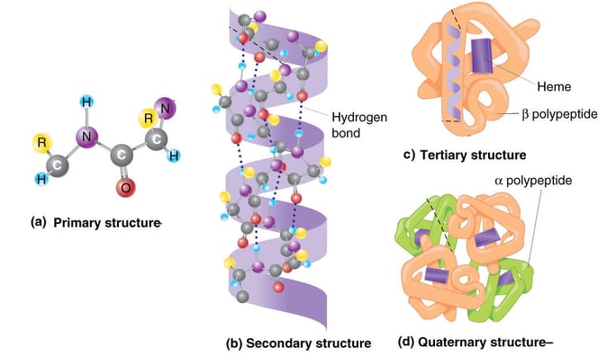 complexStructures
